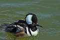 04 05 16_5584_edited-1